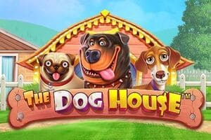 Слот The Dog House